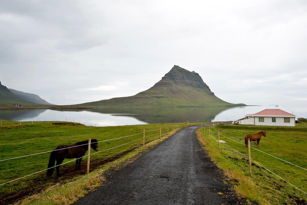 İzlanda Yurtdışı Kargo Gönderimi - Evrak | Koli | Numune