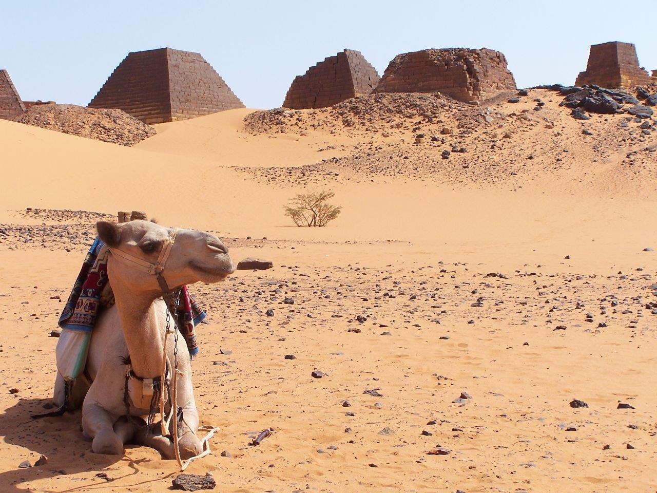 Sudan Yurtdışı Kargo Gönderimi - Evrak | Koli | Numune