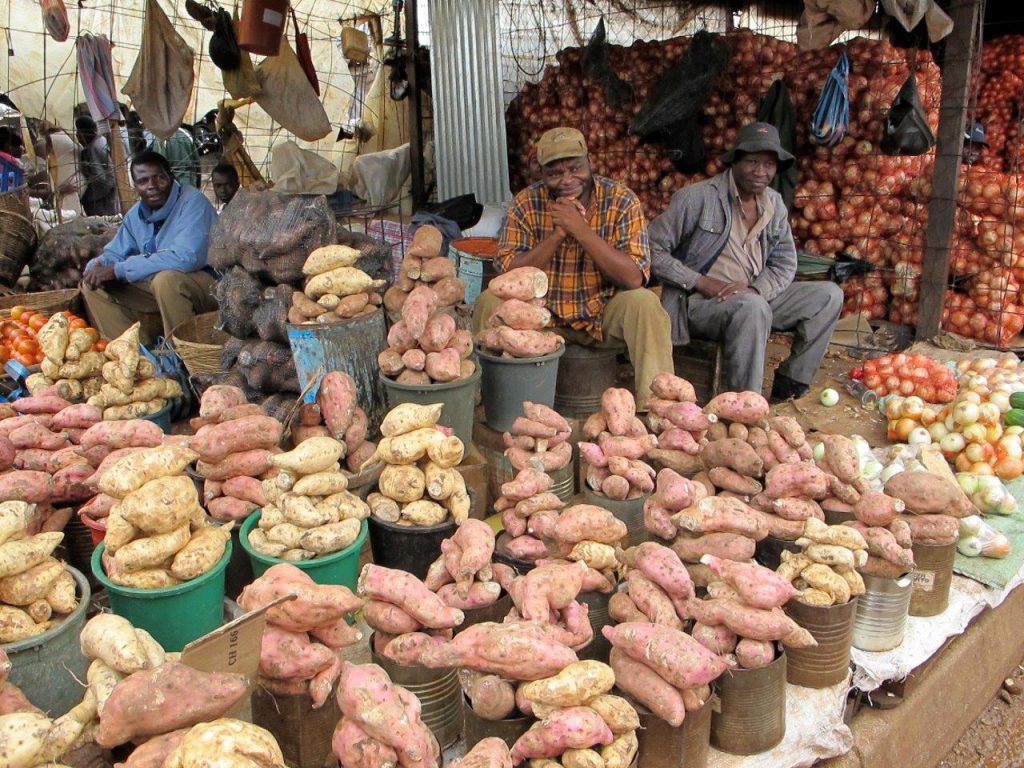 Zimbabve Yurtdışı Kargo Gönderimi - Evrak | Koli | Numune